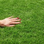 Lucerne Artificial Grass