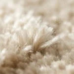 Soft Touch Living Room Carpet